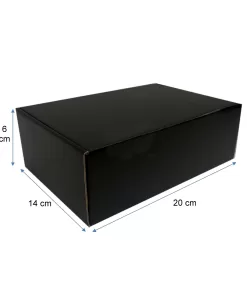 caja negra 20X14X6 1
