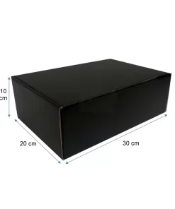 caja negra 30x20x10 1